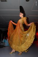 Aarti Chabriya Launches Osadia Garden City Logo